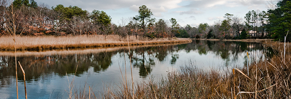 Lynnhaven River in Virginia Beach