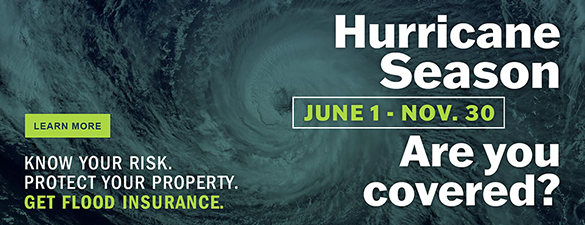 Hurricane season preparedness