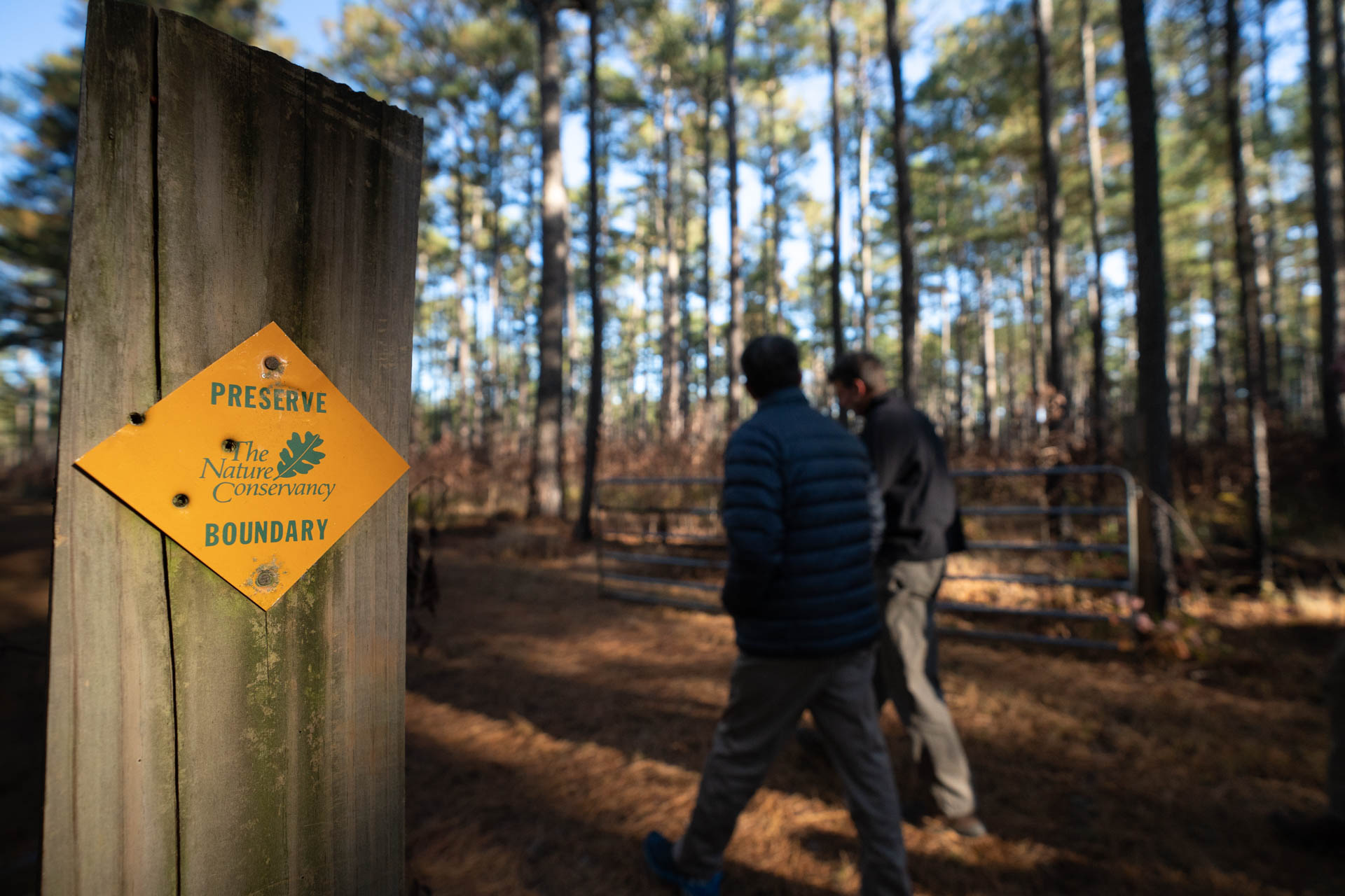 The Nature Conservancy