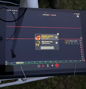 Bat monitor