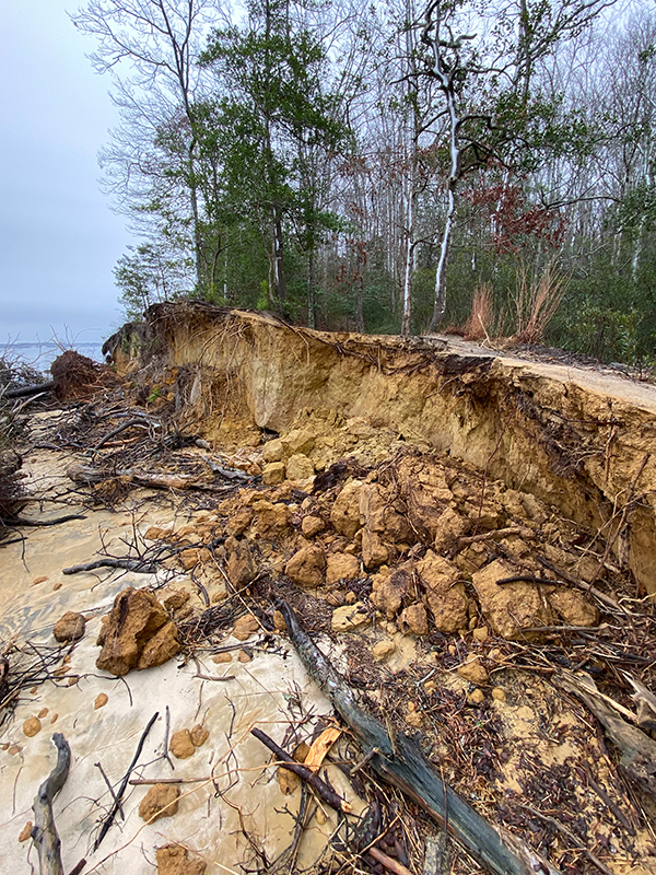 shoreline at York River State Park before stabilization