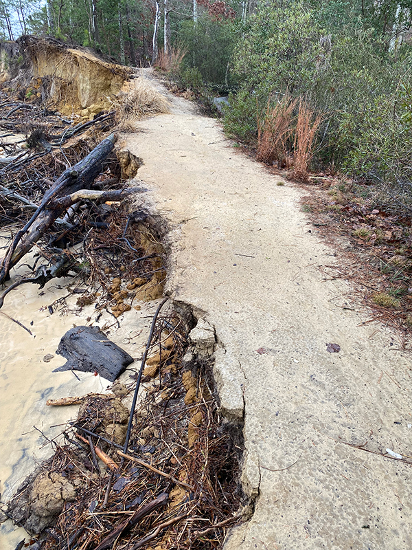 shoreline at York River State Park before stabilization