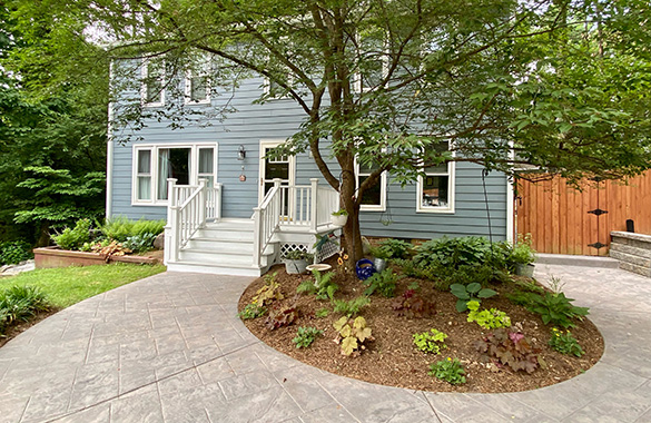 House before planting native