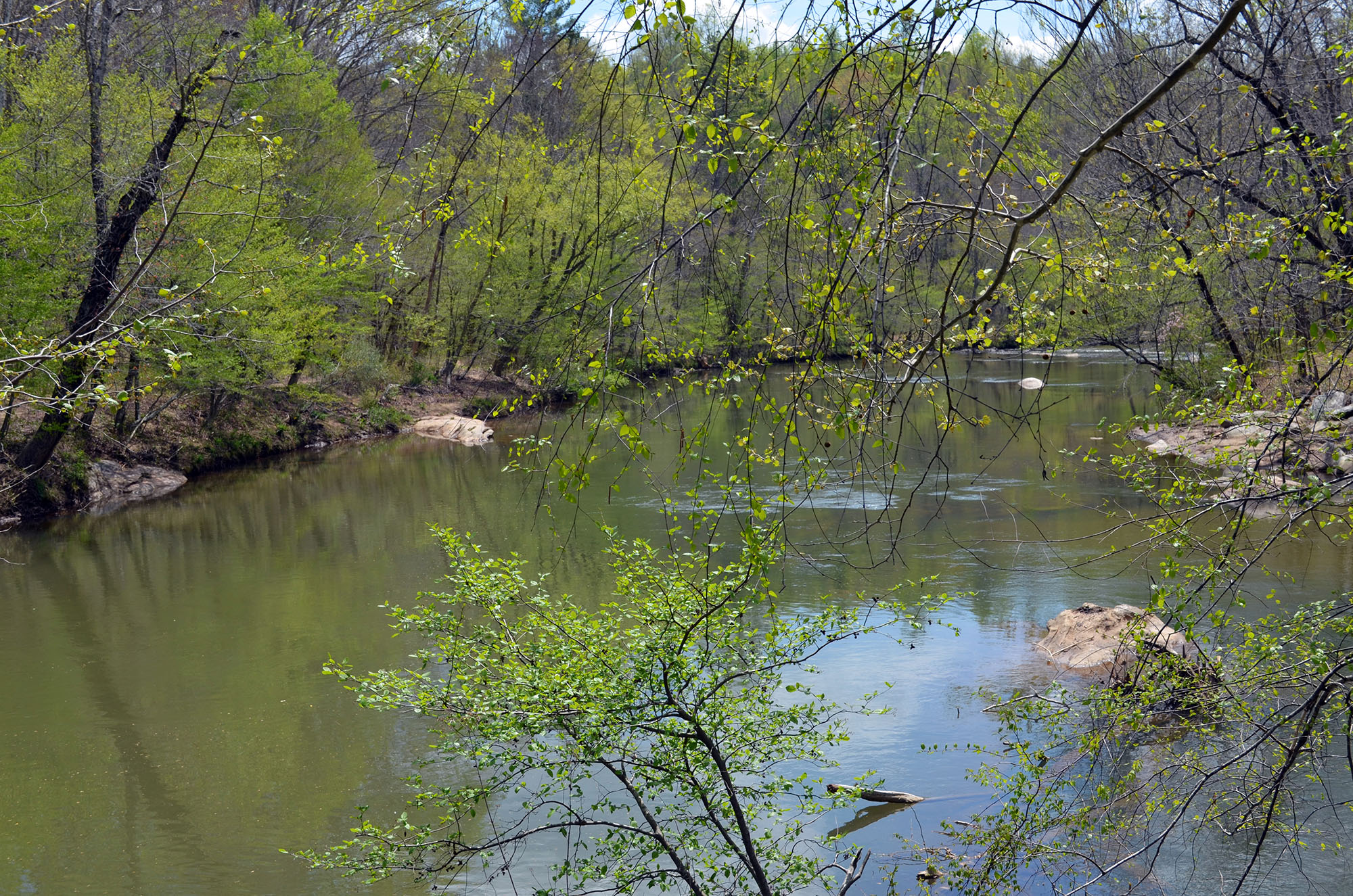 Mayo River