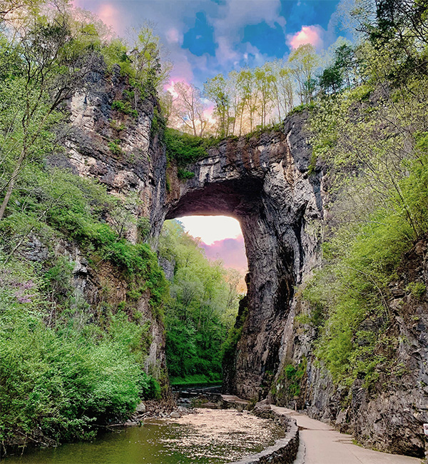 An Image