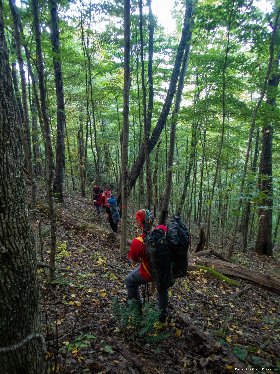 Hiking to the cave through thick trees. 