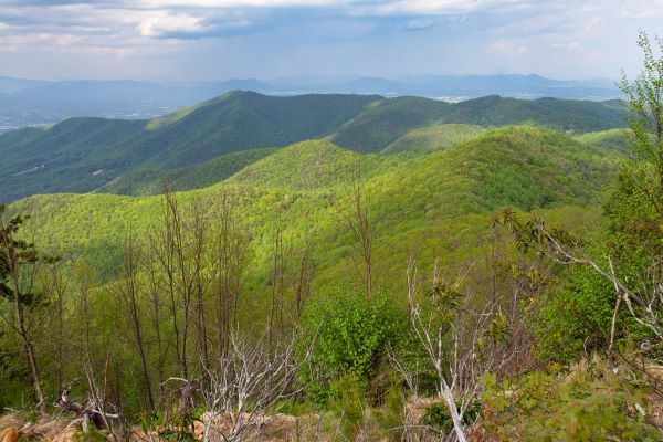 Poor Mountain Natural Area Preserve
