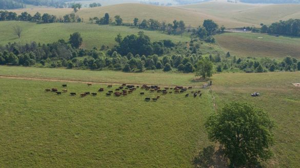 Rotational grazing