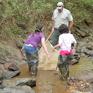 In the stream at Sailor's Creek Battlefield State Park