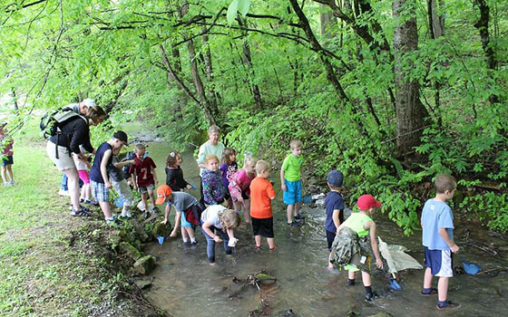 Field Trip at Hungry Mother State Park