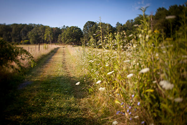 Shenandoah River State Park. Photo Saxman Photography