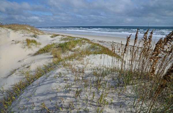 False Cape Natural Area Preserve