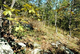 Naked Mountain Natural Area Preserve