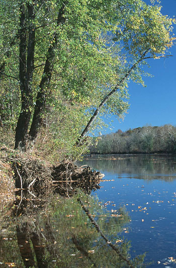 photo of James River and floodplain