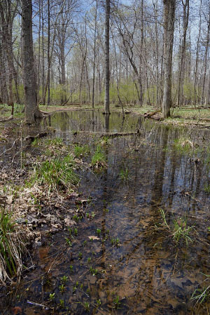 photo of high energy tidal river