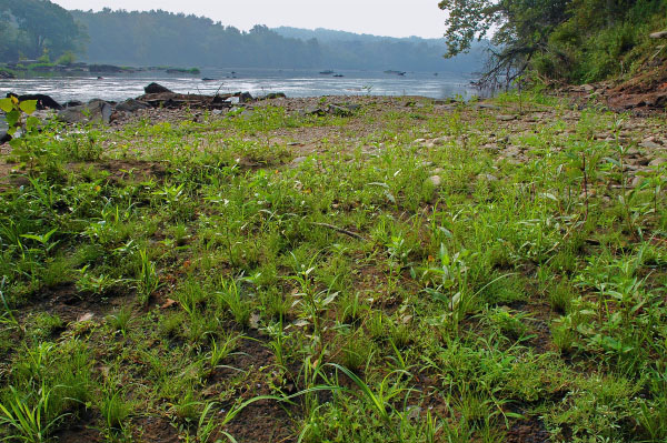 photo of high energy tidal river