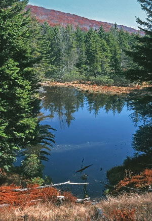 photo of high energy tidal river