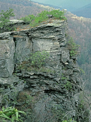 photo of low elevation boulderfield forest