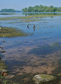 photo of riverine