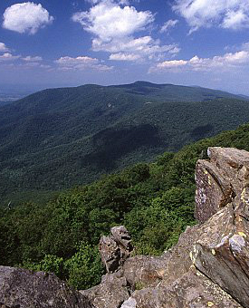 Photo of rock outcrops and forest