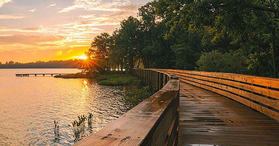 Hopewell River Walk. Photo Daniel Jones.