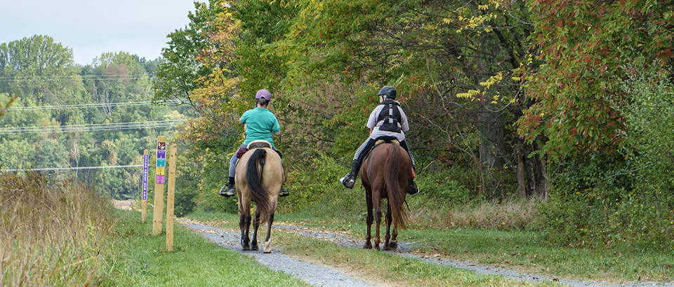 Horseback riding at Sweet Run
