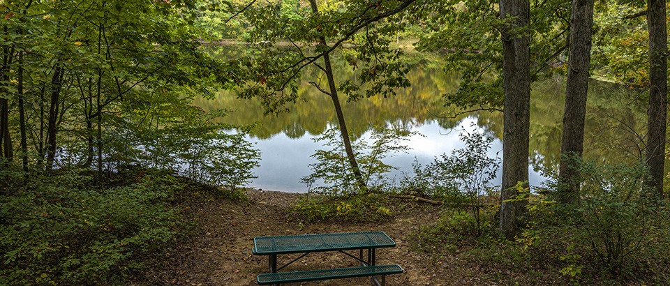 Picnic table along the river