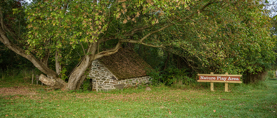 Nature play area