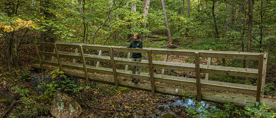 Trail at Sweet Run State Park