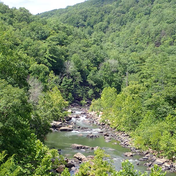 Maury river