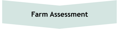 assessment