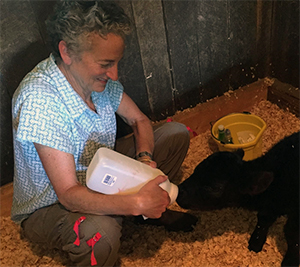 Karla Evans, Creek Hill Farm