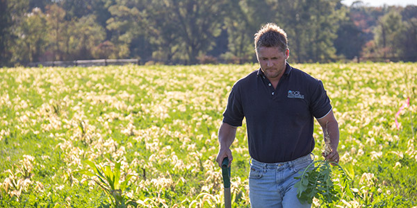 DCR employee in a field