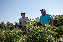 Rosas Farm - Nutrient management planning