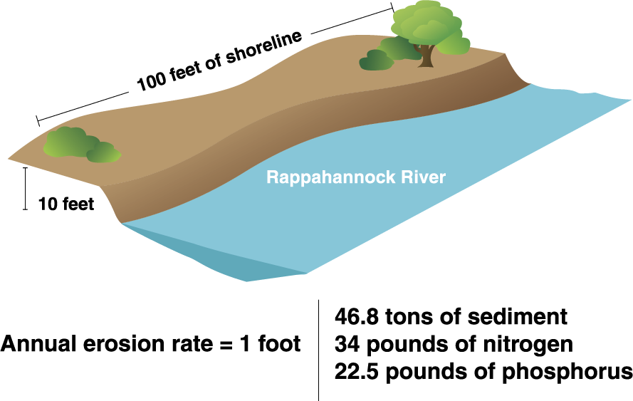shoreline erosion