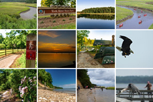 Flicker photos for York River State Park
