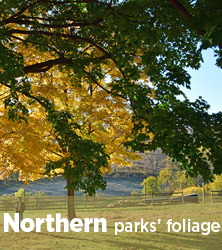 Northern parks' fall foliage reports