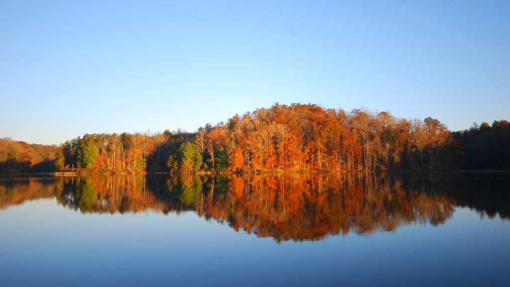 View from cabin 2 at Fairy Stone State Park