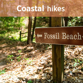 hiking coastal region