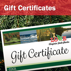 Gift Certificates