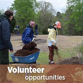 Volunteer opportunities