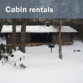 Cabin Rentals