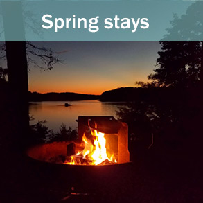 Spring Stays