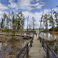 Hike at Mason Neck State Park