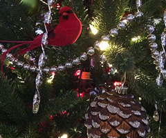 Festival of Trees