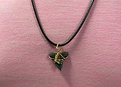 Shark tooth necklace
