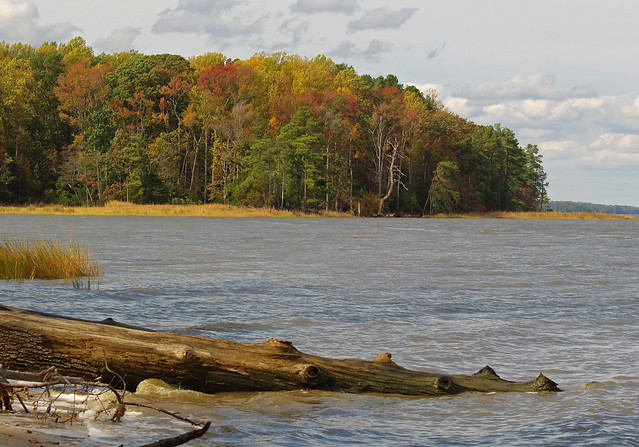 Taskinas Creek from the shoreline at York River State Park